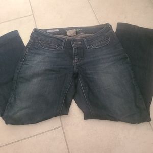 Banana Republic Jeans-Stretch